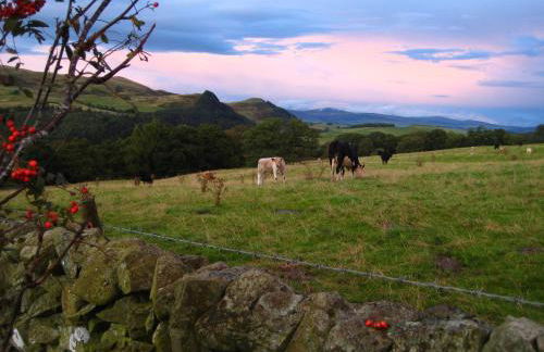 Riverside House - Foto 34