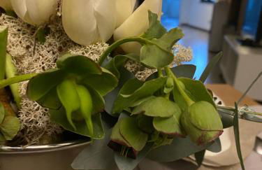 L'Albero della Vita - Foto 40