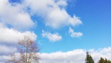 Ferienwohnung Isis in Neufang - Foto 2