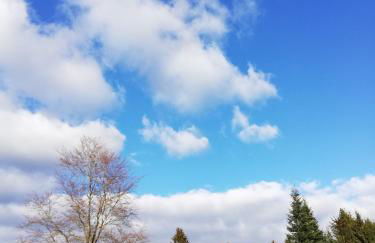 Ferienwohnung Isis in Neufang - Photo 2