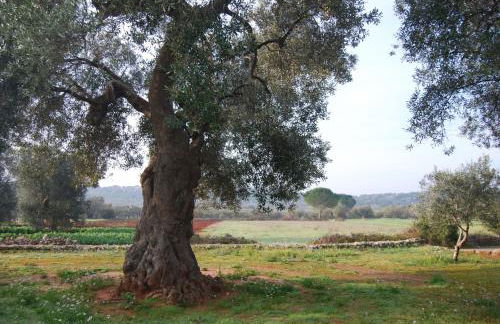 Terra di Leuca - Foto 86