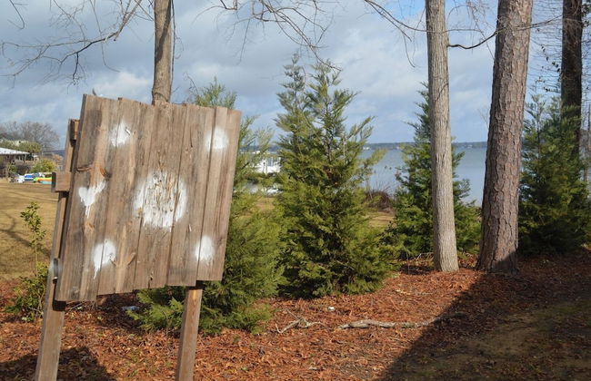 5 BR House Lake Retreat w/ Hot Tub, Sleeps 12 - Foto 23