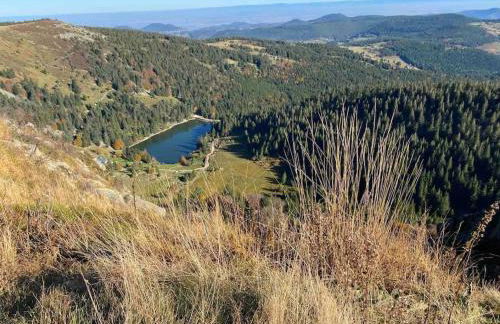 Au Nid Des Pies - Foto 23