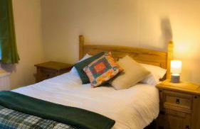 Y Fedw Wen - Foto 12