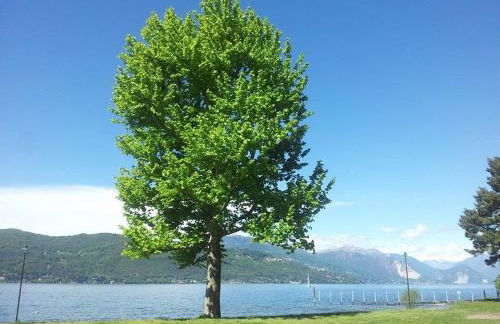 Appartamento al Moro - Foto 21