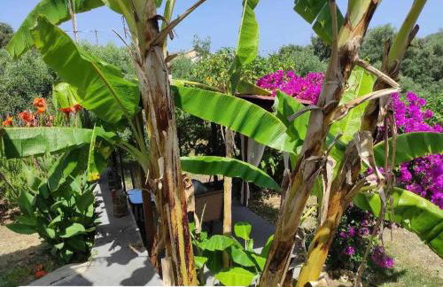 Aglaia House - Foto 13