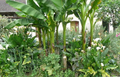 pipowagen Blagour gelegen aan waterbron - Foto 12