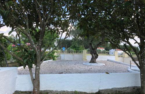 A Casa Amarela - Foto 17