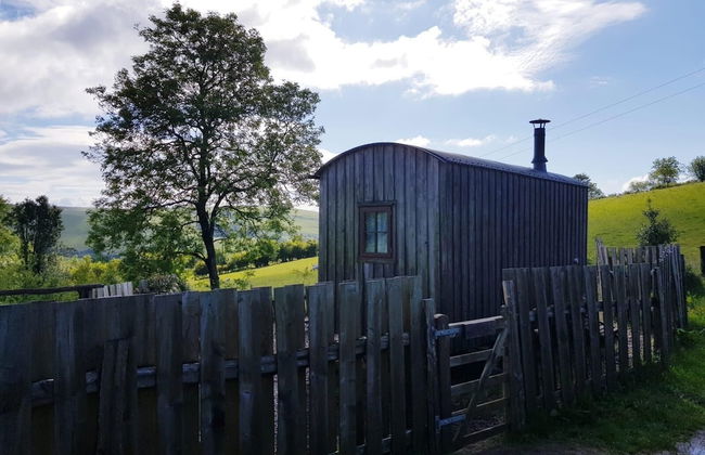 Eco Accommodation Cornflower Holiday - Foto 13