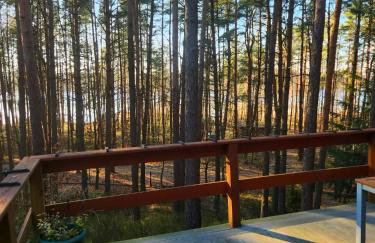 Domek w lesie przy jeziorze Kamień - Photo 6