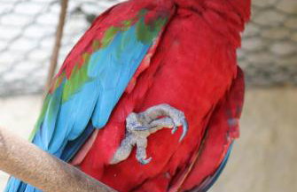 Estância Canaã Atibaia - Foto 11