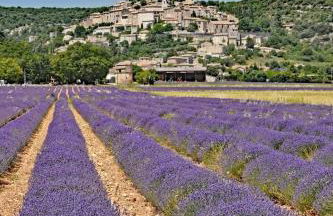 Maison de village, piscine, Colorado - Foto 30
