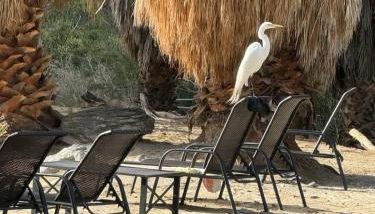 Reserve The Entire Ranch up to 28 guests - Foto 3