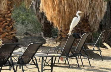 Reserve The Entire Ranch up to 28 guests - Foto 3