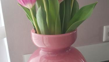 Fewo enjoy Stadtlohn Münsterland - Foto 4