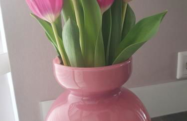 Fewo enjoy Stadtlohn Münsterland - Foto 4