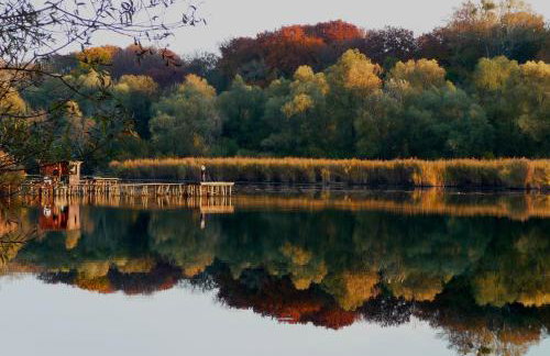 Fewo Am Otterbach - Foto 23
