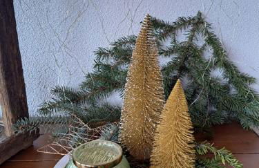 Ferienwohnung Hasenfratz - Foto 43