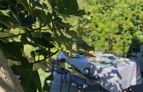 Sotto il fico - Foto 53