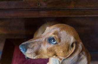 Agriresort & Spa Fattoria I Ricci - Foto 103