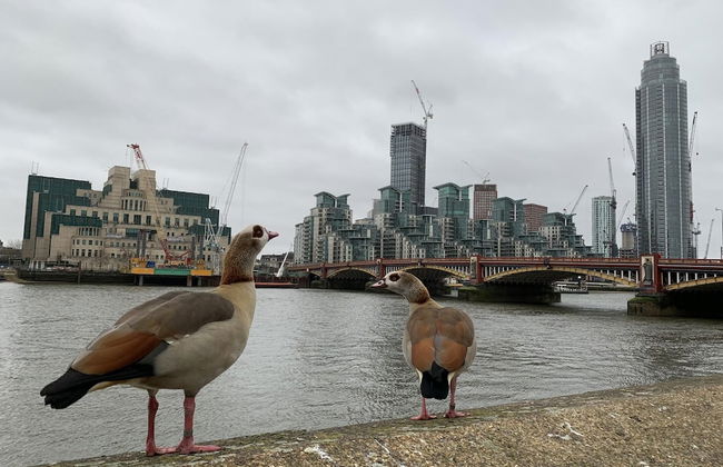 Luxury Modern 2BD Flat in Centre - Foto 22