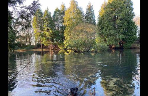 Eco-Lodge with sea view Charleton Estate - Foto 12