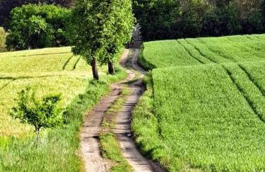 Tamarynowa Osada - Kraina Udanego Wypoczynku - Foto 33