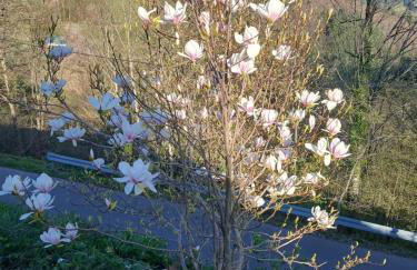 Ferienwohnung auf dem Bückle - Foto 23