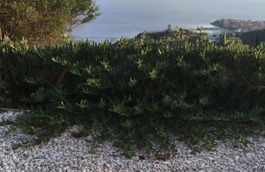 La Terrazza Del Duca - Foto 57