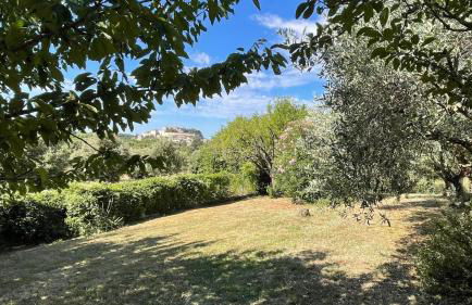 L’Olivier - Foto 39