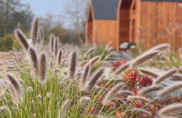 Stodoły Trzy Żywioły - Photo 61