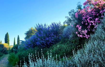 Podere Cunina - Foto 52