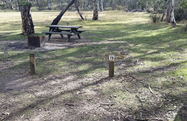 Kosciuszko Tourist Park - Foto 20