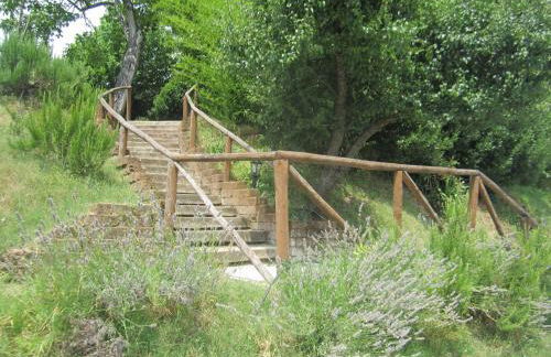 Agriturismo le Spighe - Fattoria Bertaccini - Foto 29