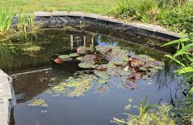 Rectory Bungalow Holiday Apartment - Foto 23