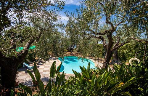 Le Navi In Cielo - Photo 34