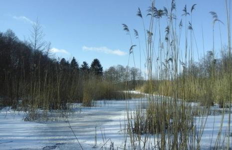 Dziki brzeg Jezioraka - Foto 45