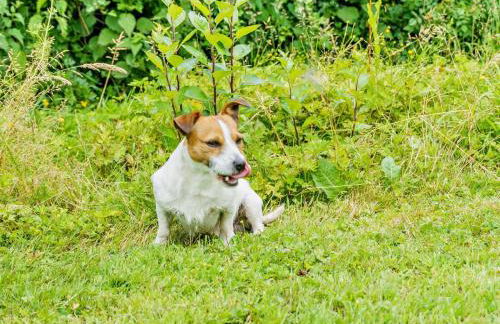 2 Bed in Chepstow oc-42837 - Foto 17