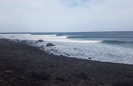 The Green Terrace - Foto 48