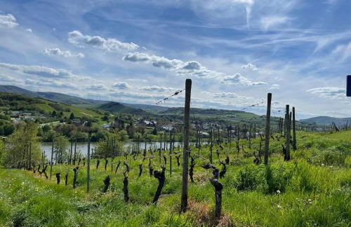 Moderne Ferienwohnung Zur Schlosshöhe - Foto 40
