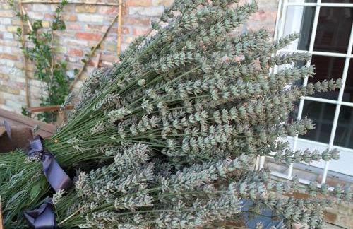 Il Giardino nella Valle - Foto 25