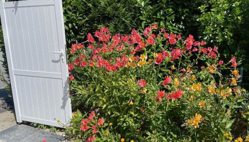 Villa Les Charmettes - Foto 4, Garden