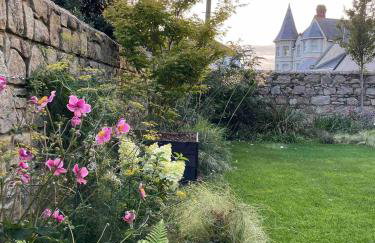 New build eco house in walled garden, Rostrevor - Photo 5