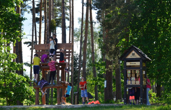 1 bedroom House in Hradec Kralove with garden - Photo 19