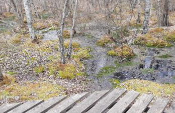 superbe appartement de 40m2 avec parking gratuit sur place - Foto 2