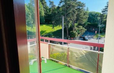 F2 près débarcadère, en centre ville, des thermes EVIAN LES BAINS 2 étoiles - Foto 29