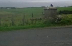 Scorrabrae Orphir Mainland Orkney South Shore Retreat - Photo 39