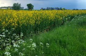 Eco-gîte du Four à pain - Photo 24