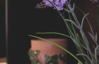 Speciale Apartment - Foto 37