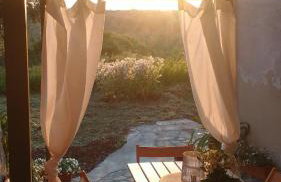 La Libellula - Foto 49